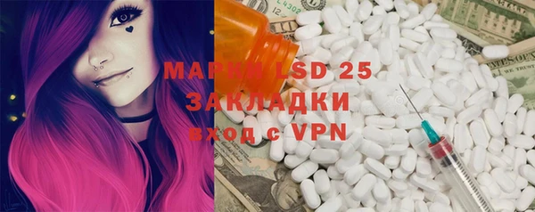 шишки Алзамай