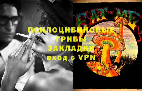 шишки Алзамай