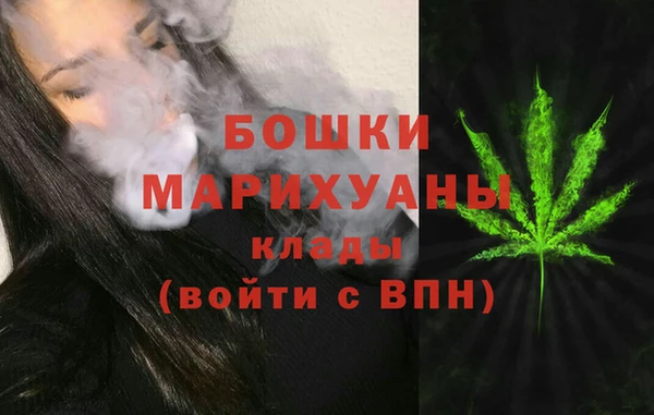 индика Алексеевка